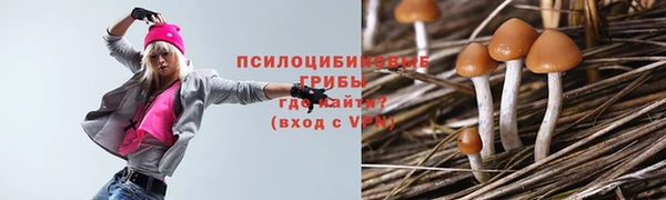 кристаллы Каменка