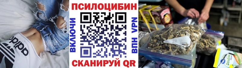 Псилоцибиновые грибы Psilocybine cubensis  Купить где  Болгар 